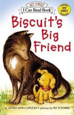BISCUITS BIG FRIEND