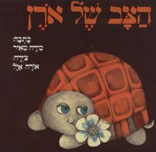 הצב של אורן דפי קרטון