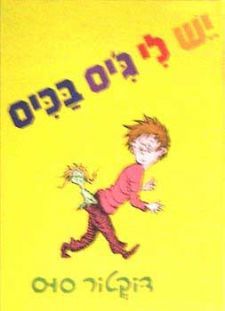 יש לי גיס בכיס