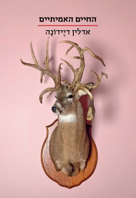 החיים האמיתיים \ הסדרה הקטנה
