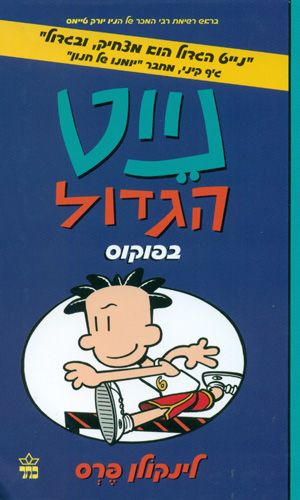 נייט הגדול 6 \ בפוקוס