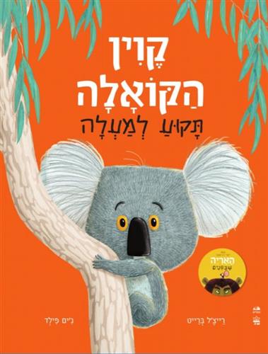 קווין הקואלה תקוע למעלה