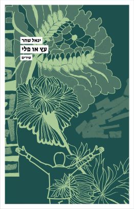 עץ או פלי
