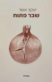 שבר פתוח