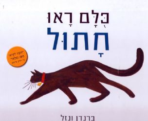 כולם ראו חתול