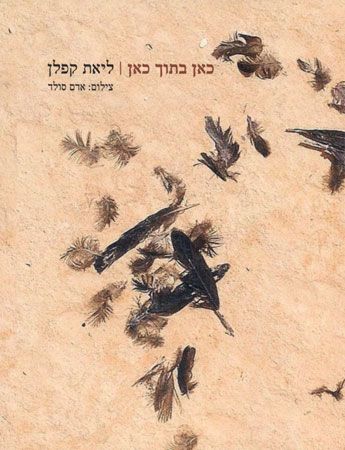 כאן בתוך כאן