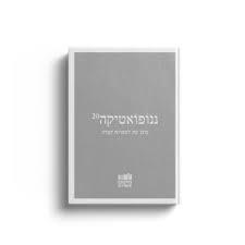 ננופואטיקה 23 פרוזה התבוננות