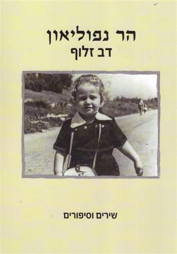 הר נפוליאון