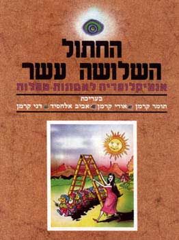 החתול השלושה עשר/תומר קרמן