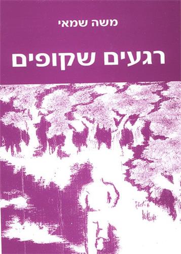 רגעים שקופים