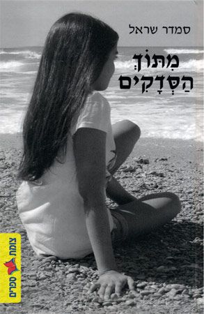 מתוך הסדקים