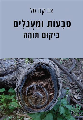טבעות ומעגלים ביקום תוהה