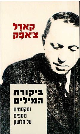 ביקורת המילים