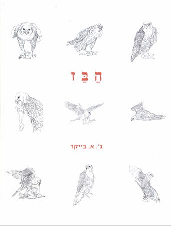 הבז