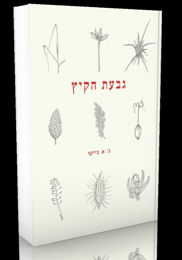 גבעת הקיץ