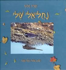 נחניאלי שלי קרטון