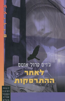 לאחר ההתרסקות