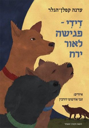 דידי פגישה לאור ירח