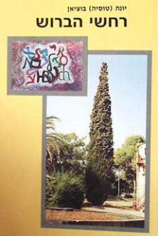 צלו של האובייקט מחודש