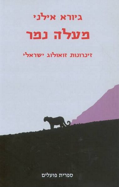 מעלה נמר