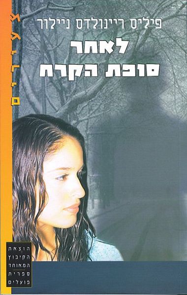 לאחר סופת הקרח