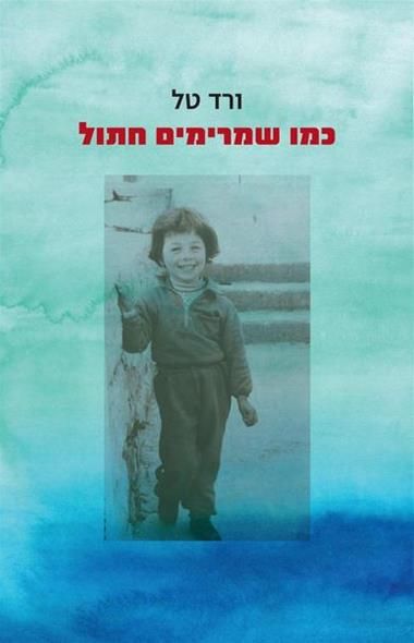 כמו שמרימים חתול