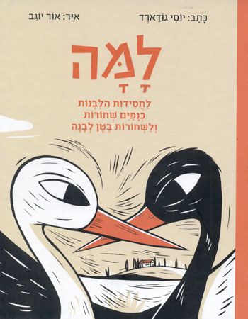 למה לחסידות הלבנות כנפיים שחורות ולשחורות בטן לבנה