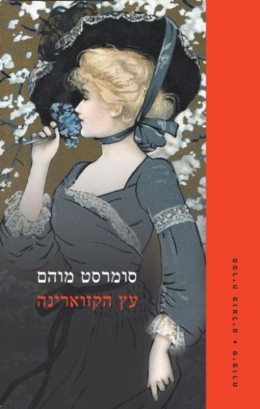 עץ הקזוארינה