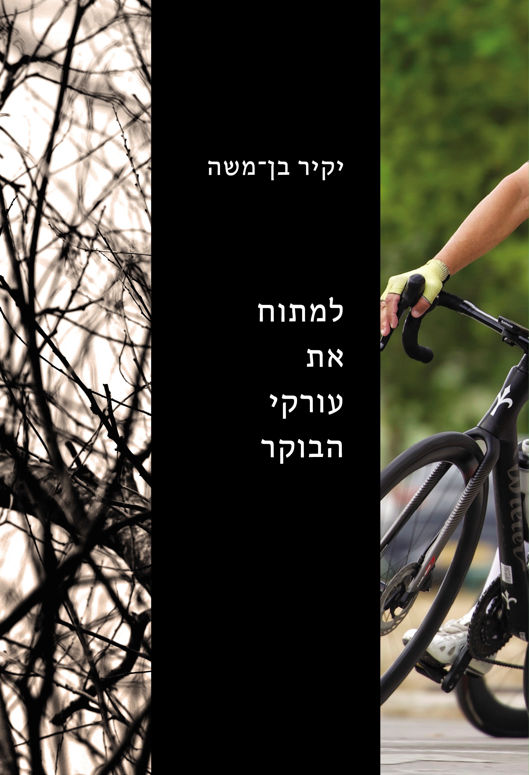 למתוח את עורקי הבוקר