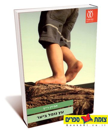 עץ נופל ביער