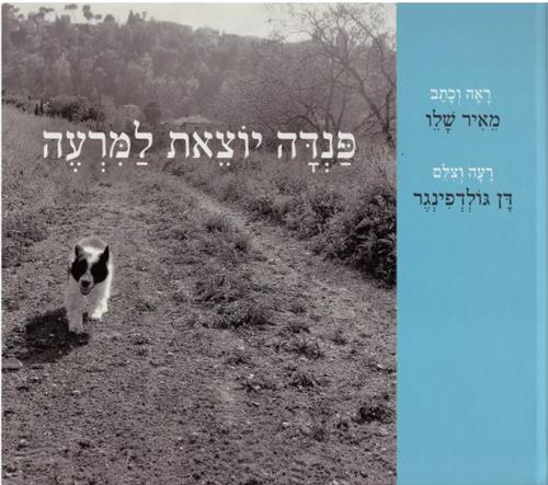 פנדה יוצאת למרעה