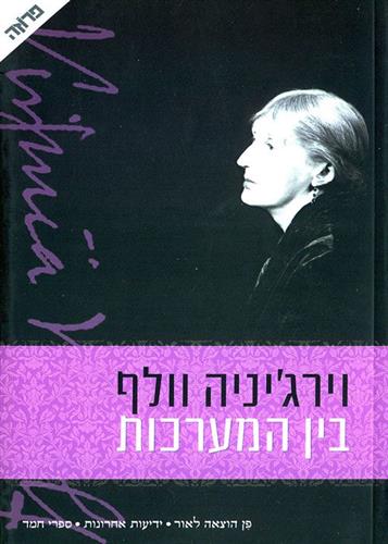 בין המערכות