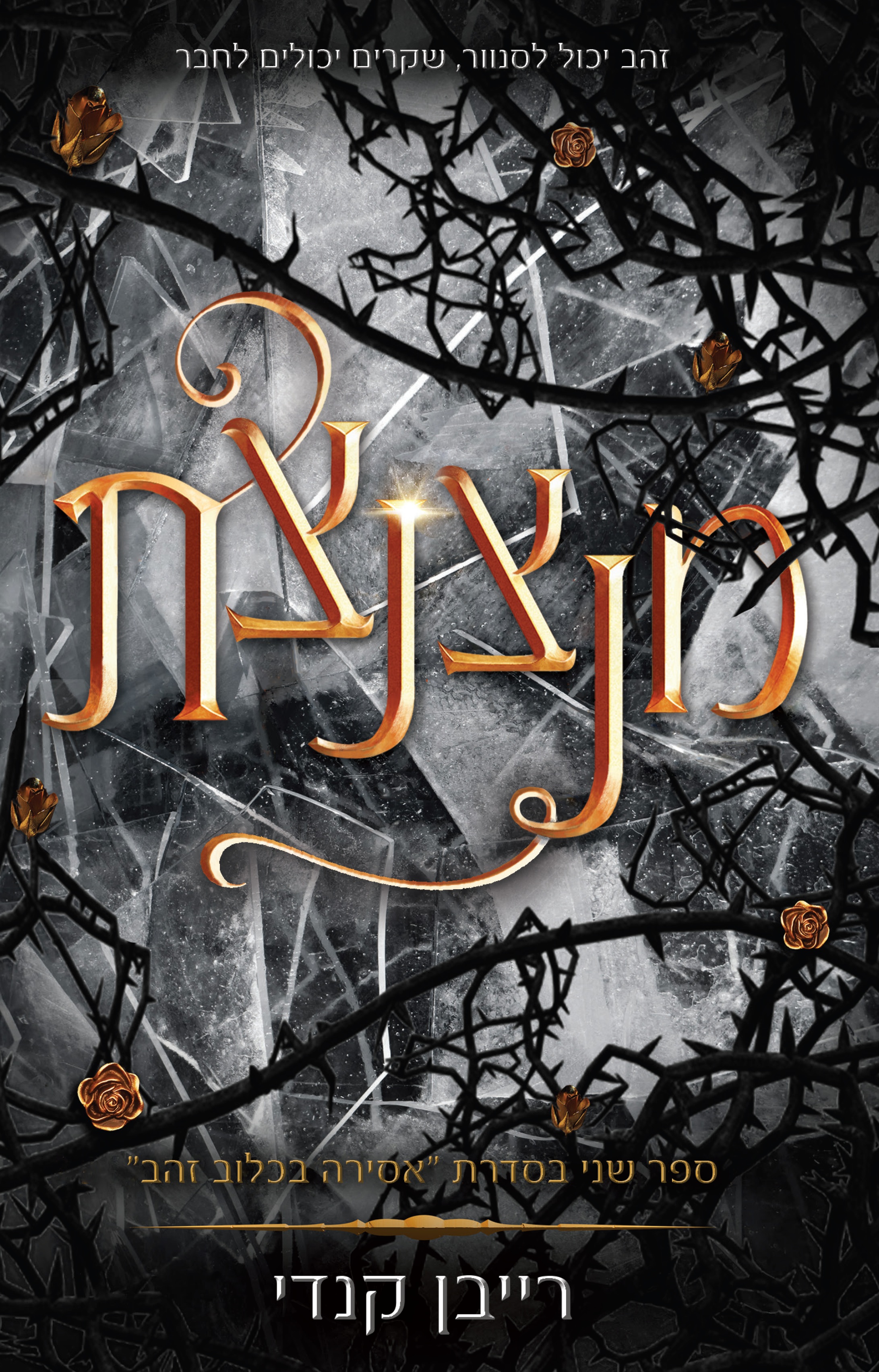 מנצנצת \ אסירה בכלוב זהב 2