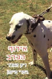 אילוף הכלב