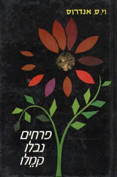 פרחים נבלו קמלו