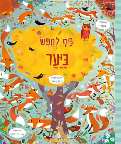 כיף לחפש ביער