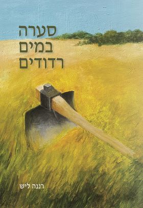 סערה במים רדודים