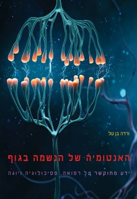 האנטומיה של הנשמה בגוף