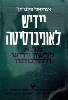 יידיש לאוניברסיטה