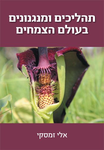 תהליכים ומנגנונים בעולם הצמחים