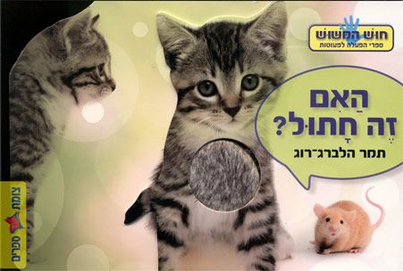 האם זה חתול
