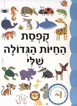 קופסת החיות הגדולה שלי