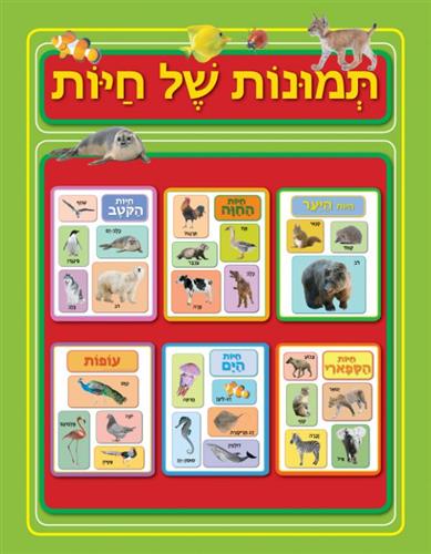 מילים ראשונות חיות