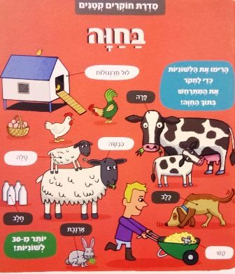 בחוה דפי קרטון