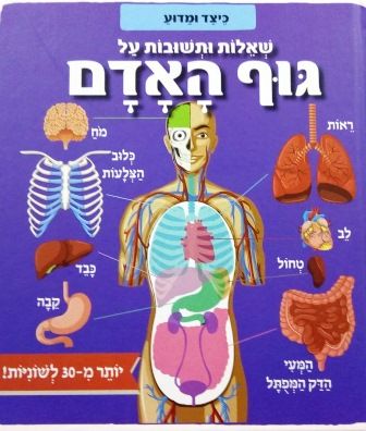 שאלות ותשובות על גוף האדם קשיח \ כיצד ומדוע