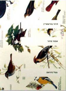 אבנר ברנ
