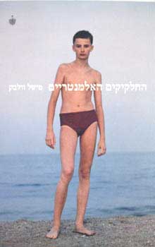 החלקיקים האלמנטריים
