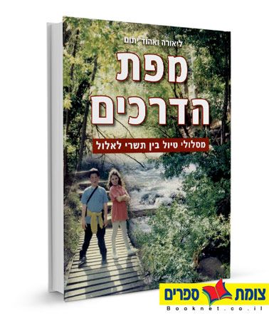 מפת הדרכים