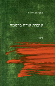 עוברת אורח בדממה
