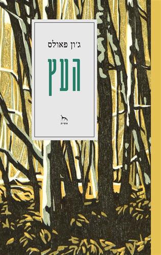 העץ